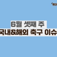 6월 셋째 주 국내&해외 축구 이슈 정리(6.10~6.16)