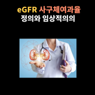 eGFR(사구체 여과율)의 정의와 임상적의의 그리고 안좋아지는 이유에 대해.