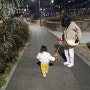 [아기와 강아지랑 함께하는 '밤 산책' 일상]