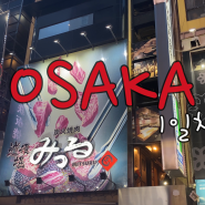 아이와 오사카 여행 | 도톤보리 야키니쿠 맛집 미츠루