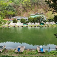 서울 근교 조용한 캠핑장, 파주 비학농원오토캠핑장 (마지저수지)