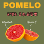포멜로 (Pomelo) 효능, 손질방법