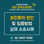 화재전문변호사, 과전류의 원인 및 입증방법, 실제 소송사레