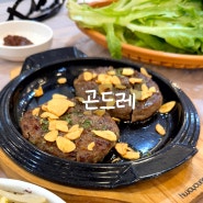 단양 떡갈비 맛집 현지인 추천 한식집 소고기떡갈비 곤드레