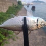 부산 낚시 포인트 초보자도 쉽게 잡을수 있는 감만cy(농어, 아징)