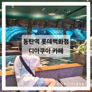동탄역 롯데백화점 물고기 카페 디아쿠아 아이랑 놀기