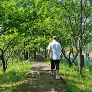 왕송호수공원ㅣ 강아지와 즐거운 산책