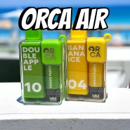 오르카에어 10000퍼프 ORCA AIR 10000 puffs 일회용 전자담배 리뷰