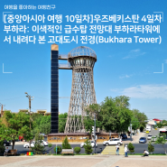 [중앙아시아 여행 10일차]우즈베키스탄 4일차 - 부하라: 이색적인 급수탑 전망대 부하라타워에서 내려다 본 고대도시(Bukhara Tower)