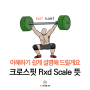 크로스핏 Rxd Scale 뜻, 이해하기 쉽게 설명