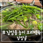 # - 장암동 능이 오리백숙 맛집 '장암골'에서 가족 외식한 날!!(feat. 수락산)