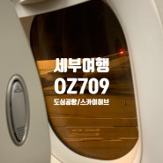 [세부여행] 아시아나 항공 OZ709 탑승기 (도심공항터미널/런드리고/스카이허브라운지)