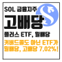 SOL 금융지주플러스고배당, 금융지주 ETF로 월배당 받기