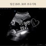 임신 후기 29주, 30주 주수 증상 기록 (초음파, 배크기, 배뭉침, 태아 크기/몸무게)
