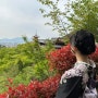 [일본 오사카] 4월 3박 4일 여행 마지막 / 교토 당일치기 니시키시장 / 기모노 대여 / 니넨자카 산넨자카 / 우메다 햅파이브