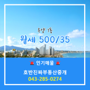 호반진짜부동산중개 추천매물 우양 1동 월세 500/35