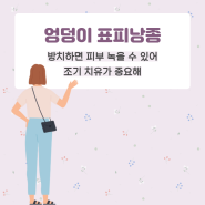 엉덩이 표피낭종 방치하면 피부 녹을 수 있어 조기 치유가 중요해