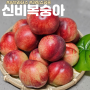 제철과일 신선한 경북경산 농브라더스 신비복숭아 주문 추천