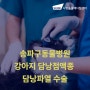 송파구동물병원 강아지 담낭 점액종 담낭 파열 수술 [샤인동물메디컬센터]