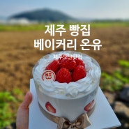 제주도민맛집 빵집 베이커리 온유 딸기케이크 강추