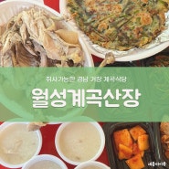 경남 거창 발 담그고 먹는 백숙 맛집 월성계곡산장 방문 솔직 후기