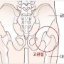 밸런스브레인 부천센터 - 발달 아동에게 좋은 동작