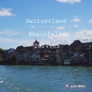 스위스 여행 :: 스위스 마을 기차여행 라인펠덴(Rheinfelden)