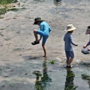 7월 제주 아이와 가볼만한곳 이호테우 해수욕장 해변 풍경 이호테우 말등대