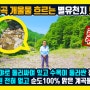 [매물번호 626] 순도 100% 맑은 계곡물 흐르는 별유천지 토지매매 홍천부동산