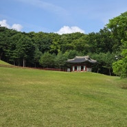 추천 융건릉 강경불고기 내돈내산 어르신 부모님 맛집 간장게장 매운갈비찜 어리굴젓 육회 다른메뉴 많음