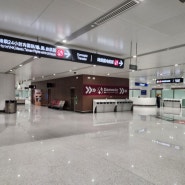 중국남방항공 타고 베이징 다싱공항 환승
