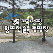 경북 계곡캠핑장 왕피천 숲속캠핑장 내돈내간 방문후기