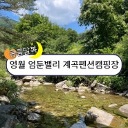 단체펜션으로 좋은 엄둔밸리 영월계곡펜션 영월캠핑장