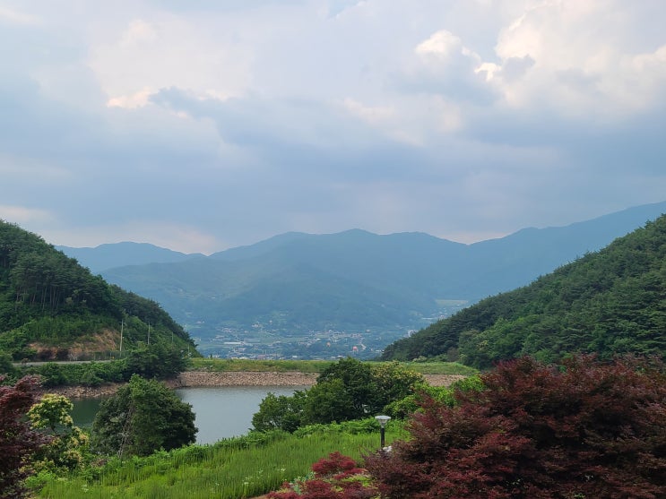 전남구례 : 산수유자연휴양림 노고단산행 후 하루 푹 쉬다왔어요 : 네이버 블로그
