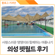 경북 가볼만한 곳, 의성 펫월드 도그풀장 개장 / 반려견 수영장 이용후기
