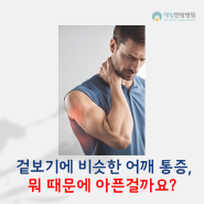 전주 어깨 병원│다 같은 어깨 통증이 아닙니다. 특징과 차이점 구분