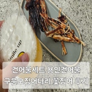 용인 건어물 오징어 맛집 건어물홀릭 전국택배