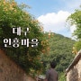 대구 근교 여행지 <남평문씨 본리세거지> 능소화 연꽃 명소, 6월 7월