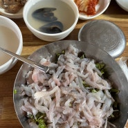 [경주여행]회덮밥 맛집-용산회식당, 카페 이조리, 카페 아래헌, 가마솥 양푼이