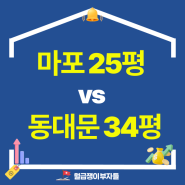 서울부동산, 마포25평 vs 동대문 34평 가격이 같다면? "이것"을 보세요.