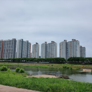 [부동산 뉴스]지방 아파트 가격 상승 이유, 서울 아파트 거래량 3년만에 최다 왜?