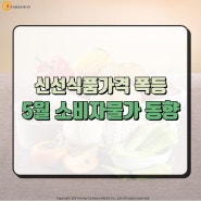 신선식품가격 폭등 - 5월 소비자물가 동향