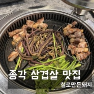 [종각] 종각역 젊음의거리 미나리, 고사리 삼겹살 맛집 철로만든돼지