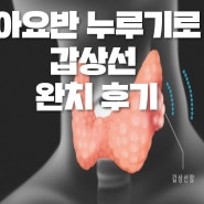 갑상선 자연치유/갑상선 항진증 완치/ 갑상선 저하증/크론병 10년차/만성 설사/정답은 누루기/국내최초 자연재배 누루기/아요반 특허/쌀요거트