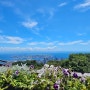 여름 고베 누노비키 허브정원 멋진 전망과 꽃들이 반겨주는