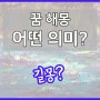 꿈해몽 어젯밤 꾼 꿈 과연 어떤 의미가 있을까? 길몽 흉몽