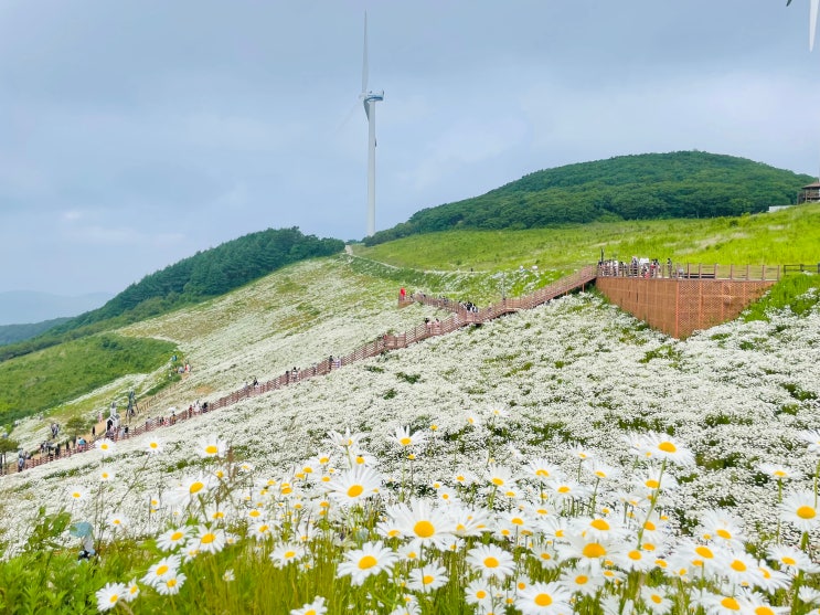 Windows10♠美品❥白色BIBLO❥メモリ4G❥大容量320G❥テンキ付き 2102610179_0000001.jpg