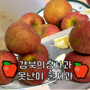 경북의성 못난이 꿀사과, 주스로 만들어 아침대용으로 뚝딱!