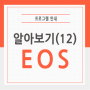 EOS 알아보기(12) – 미송