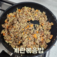 백종원 계란볶음밥 레시피 아기 야채볶음밥 찬밥 남은밥 처리하기 간단 요리